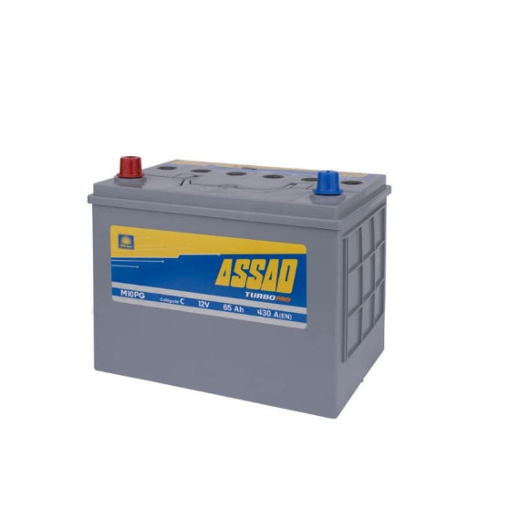 BATTERIE M10PG